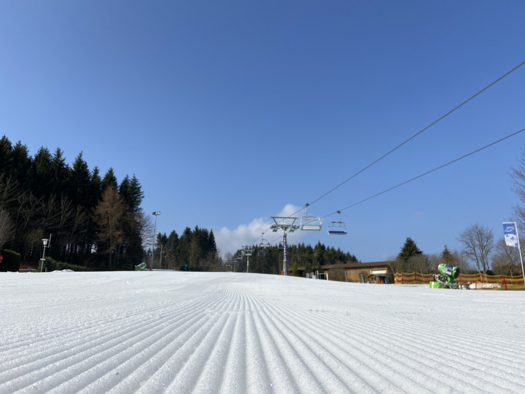 Morgenfreuden am Rauhen Busch