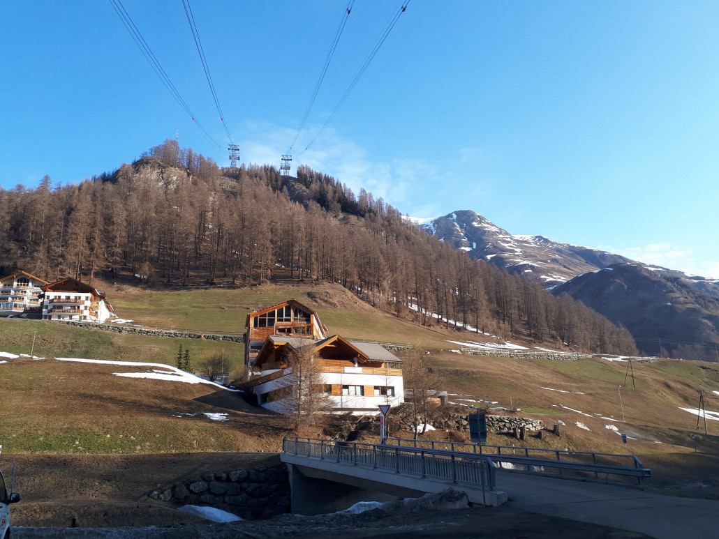 Unten am Südhang grün