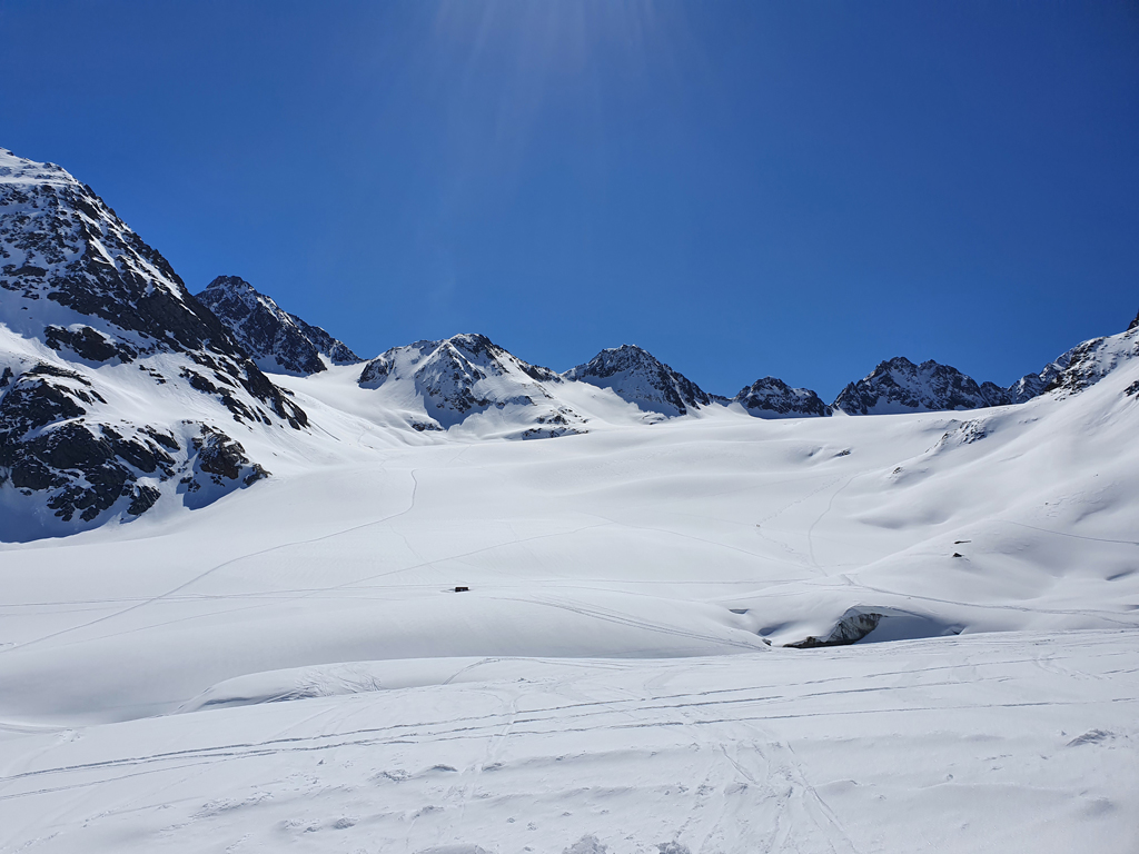 Pitz_April_2021_by_Markus_Hahn (5).jpg