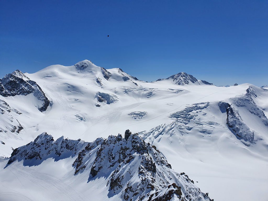 Pitz_April_2021_by_Markus_Hahn (16).jpg