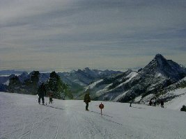 Panoramablick richtung Ortler