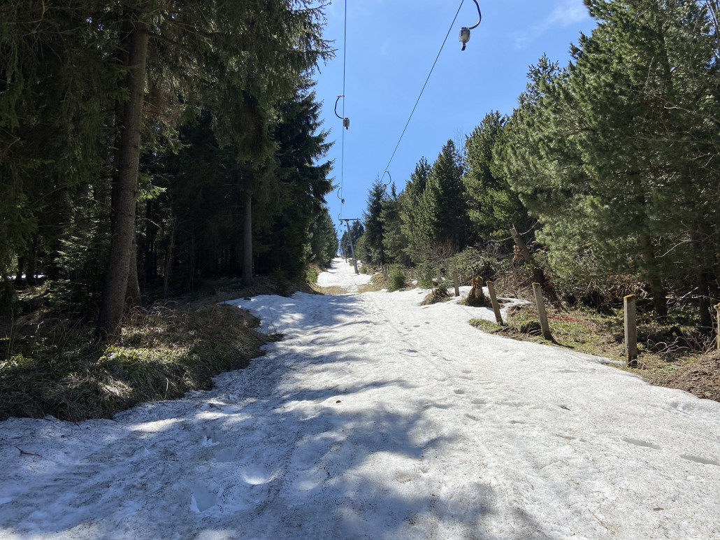Lifttrasse bergwärts blickend, das schaut noch gut aus