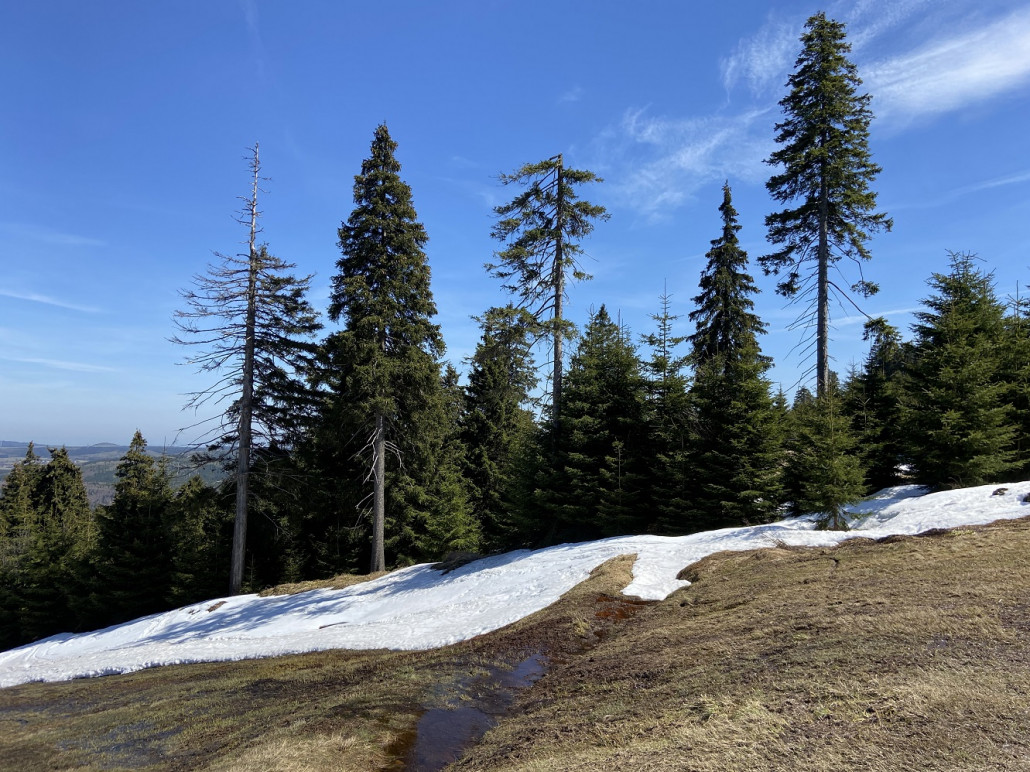 ...vor dem Bäumchen rechts halten und dann weiter