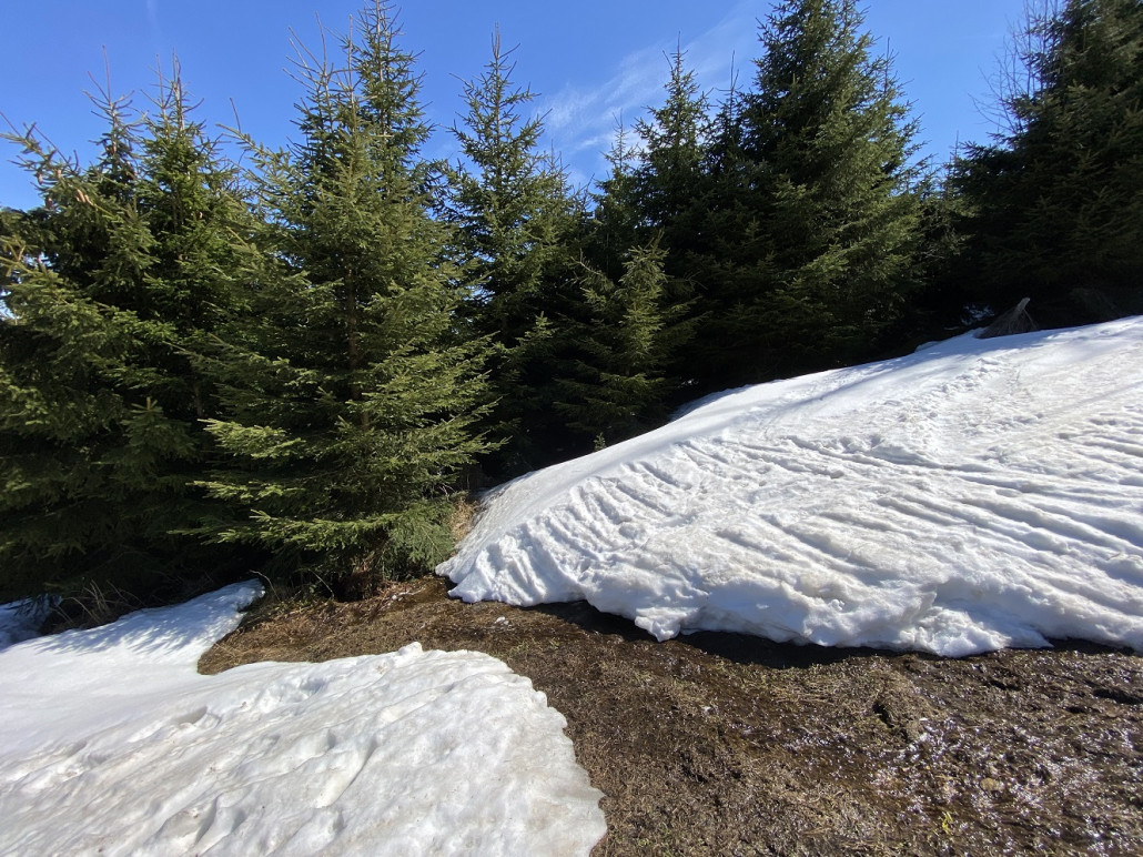Kumpel hat den Absprung gewagt und das Gap bezwungen, ich hatte leichten Kontakt mit der nassen Wiese