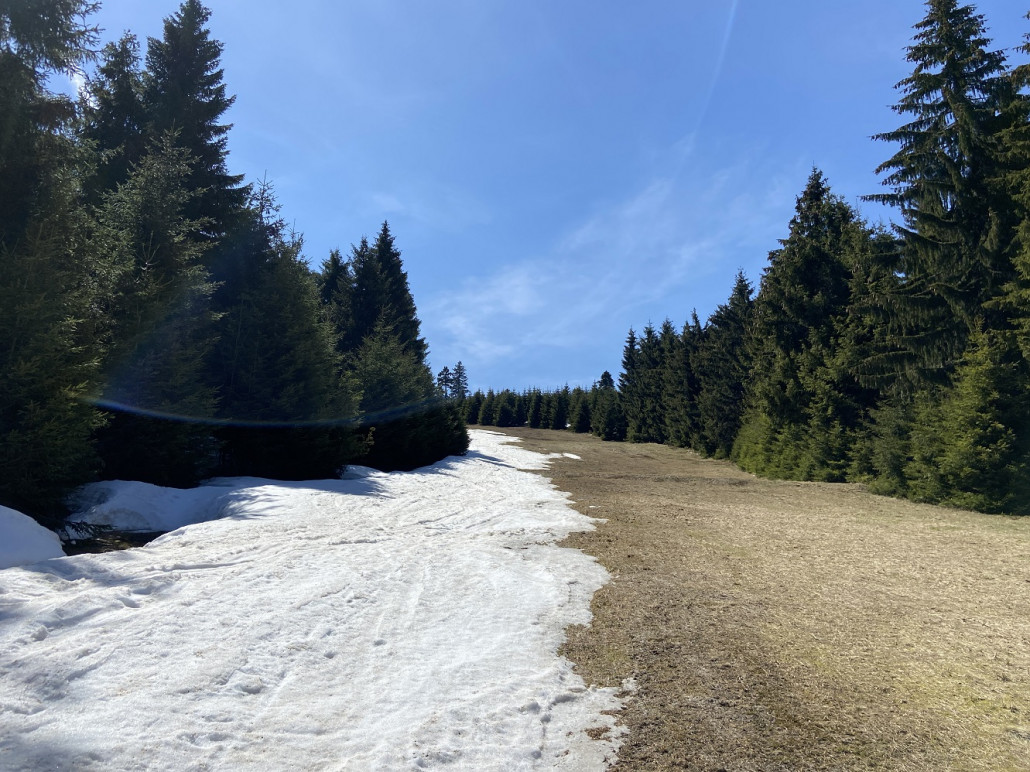 Schneeband wird talwärts etwas breiter