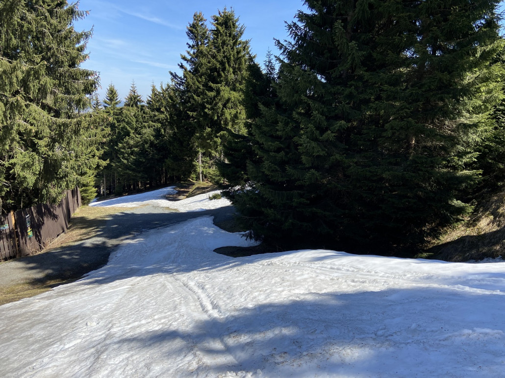 An der Einmündung des Crottendorfer Weg mussten wir (mit einem Fuß) Abschnallen und die schneefreie Stelle springend überqueren