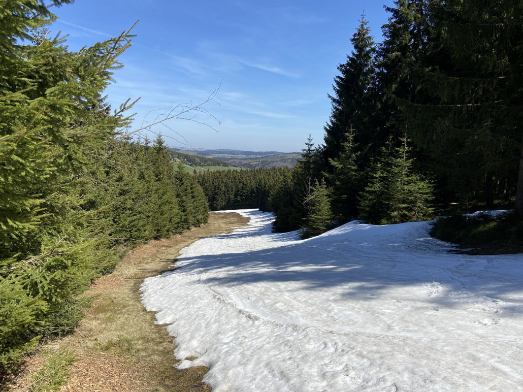 Schneeschuhe brauchten wir heute nicht, das Wandern am Pistenrand war fast überall bequem möglich