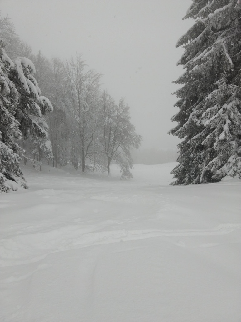 Start der Abfahrt am Geitenberg, ca. 1'130 m ü. M.
