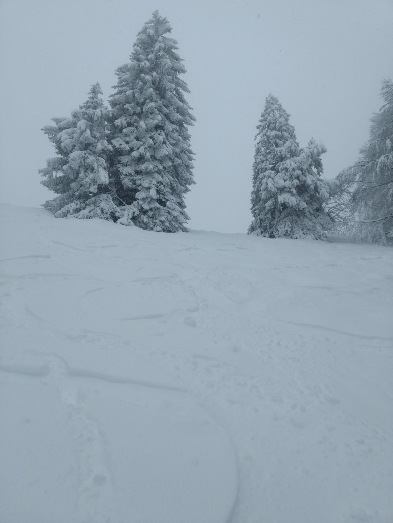 Eher ein herummorxen im Baselbieter Feuchtschnee