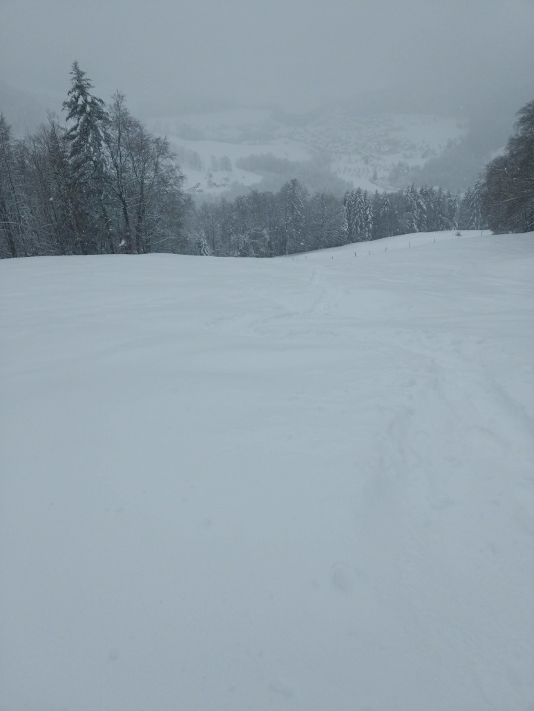 unten im Bild das beschauliche Lauwil