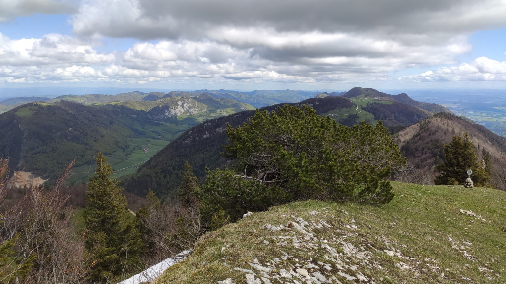 Hasenmatt, Blick Richtung Weissenstein