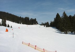 Frommesalm; soll die Abfahrt hier am linken Bildrand in die Frommesabfahrt einmünden?