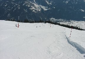 Unten links ist die Einfahrt der Frommes in den Wald. Ginge dann die neue schwarze Umfahrung hier rechts ab?