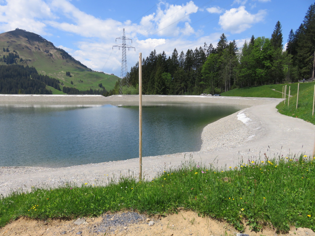 Brantlalmsee