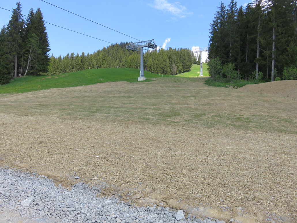 Pistenadaption Brantlalmsee