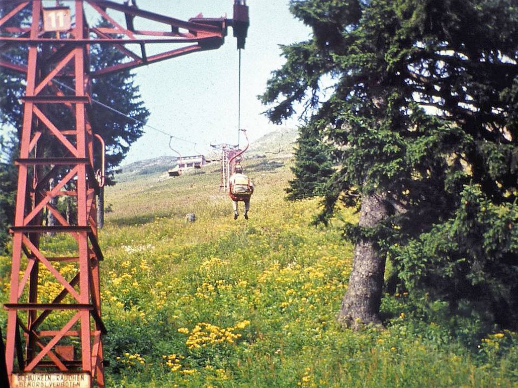 13567109_484129888463508_1808353045554913348_n (1).jpg