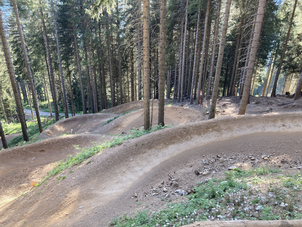 Dieser Abschnitt hätte eine Kur nötig.