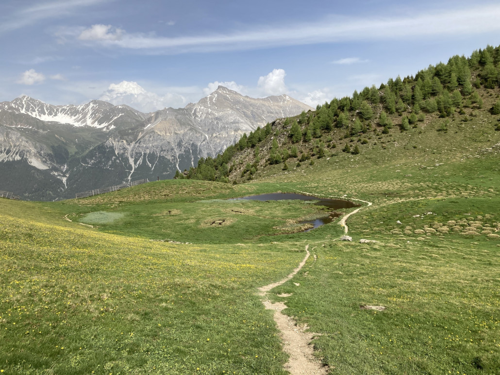 Oberhalb der Schäfermulde