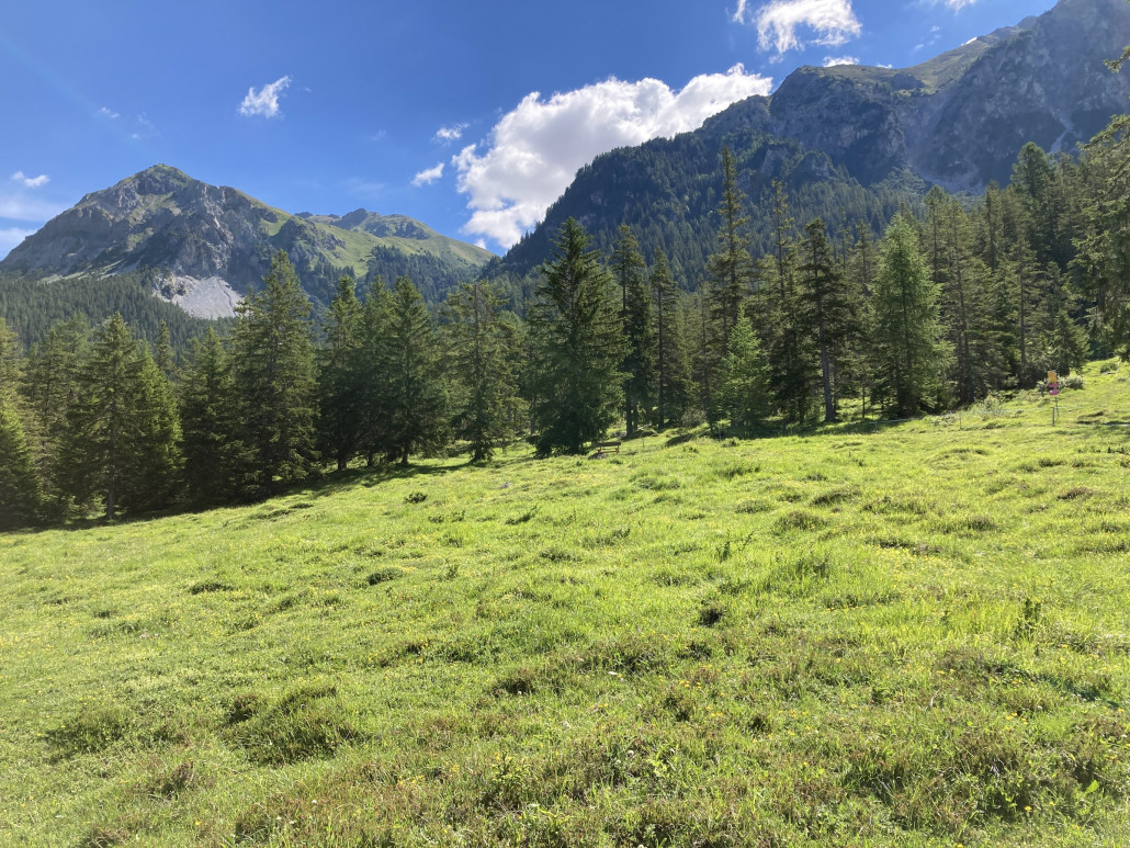Zwischen Lenzerheide und Lantsch