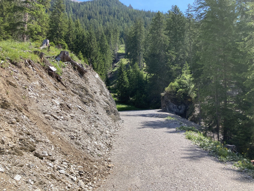 Viele Fahrwege oberhalb Lantsch wurden wohl erst kürzlich neu instand gesetzt, so auch hier.