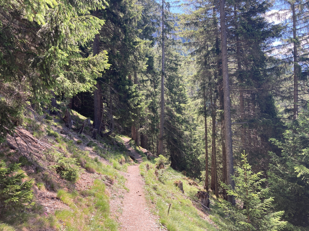 Spassiger, aber kurzer Trailabschnitt vor der Hängebrücke