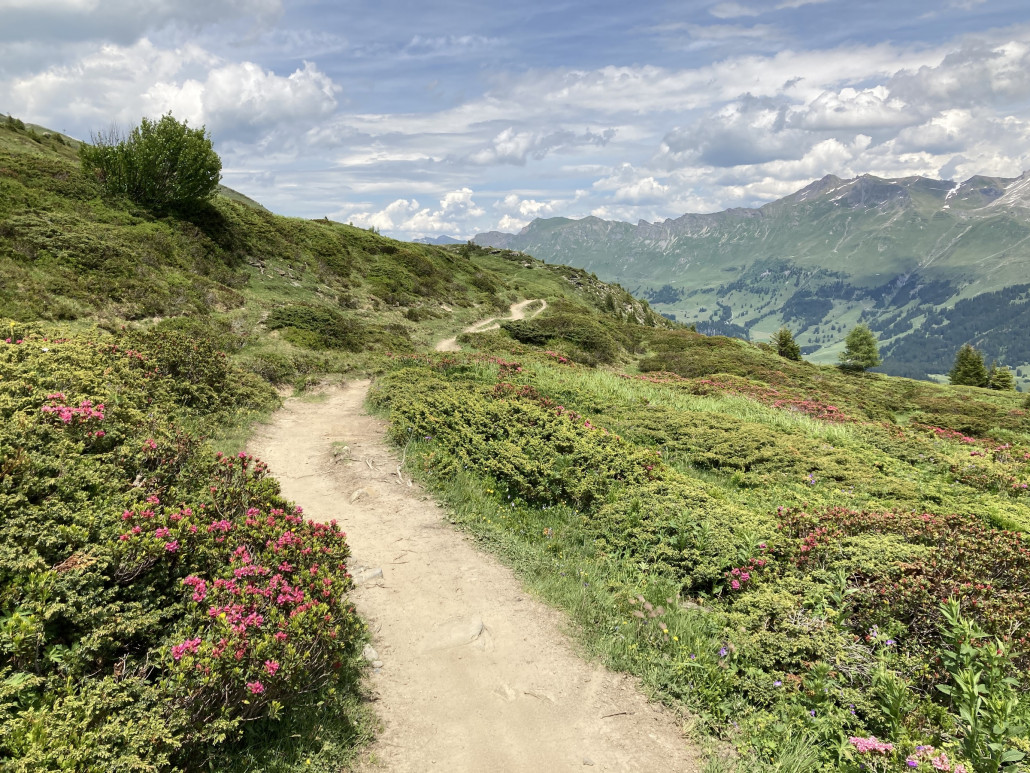 Ein gutes Stück fuhr ich auf der Route Richtung Stätz und somit auf dem offiziellen Bikeweg.