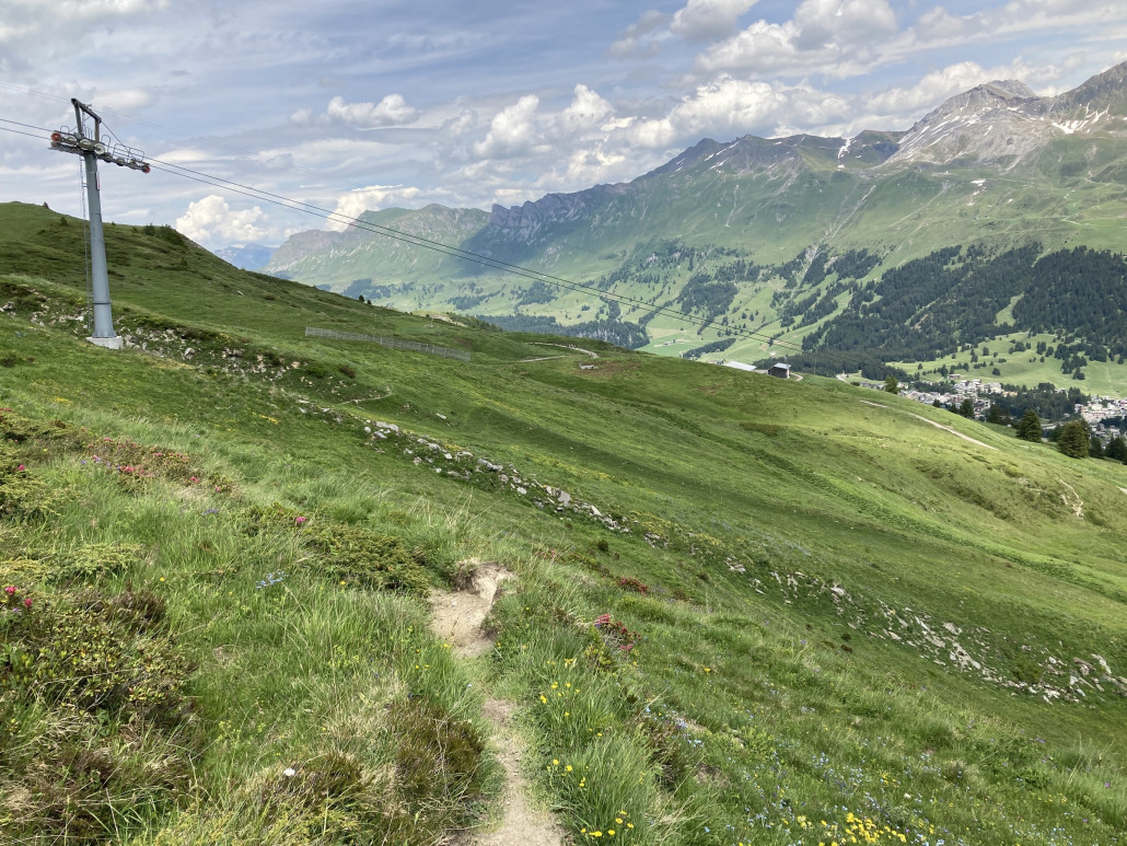 Wenig begangener und noch weniger befahrener Weg im Bereich der Sesselbahn Lavoz. Durch die Naturbelassenheit supergut! Hier kreuze ich gerade die rote Piste 63.