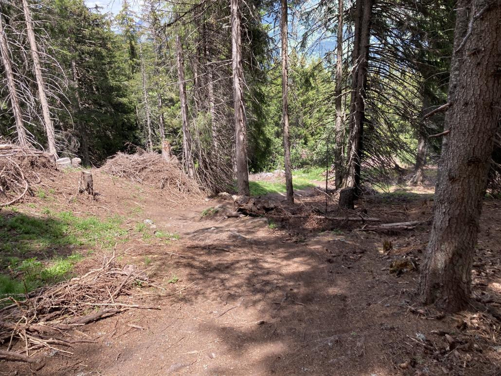 Verlauf im Wald. Sehr weicher Boden, angenehm zu fahren.