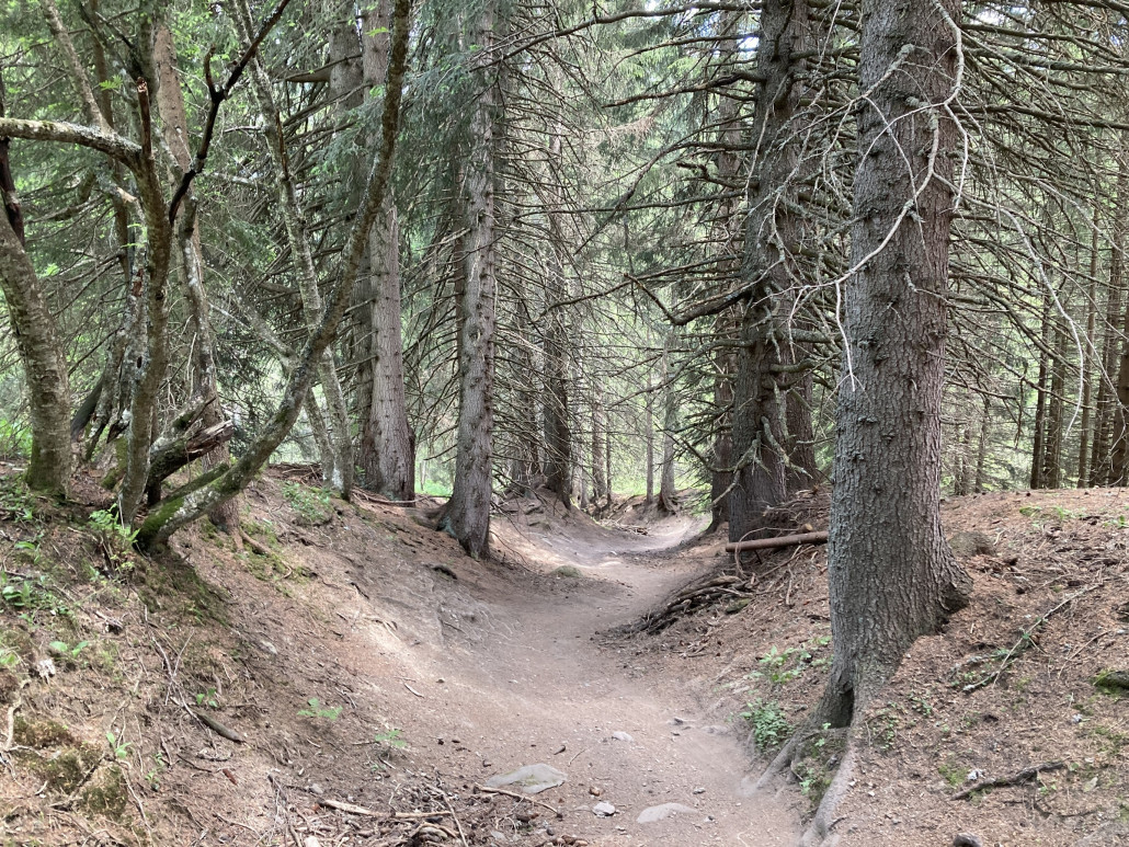 Oberhalb des Sees. Hier befinde ich mich wieder auf einem offiziellen Bikeweg.