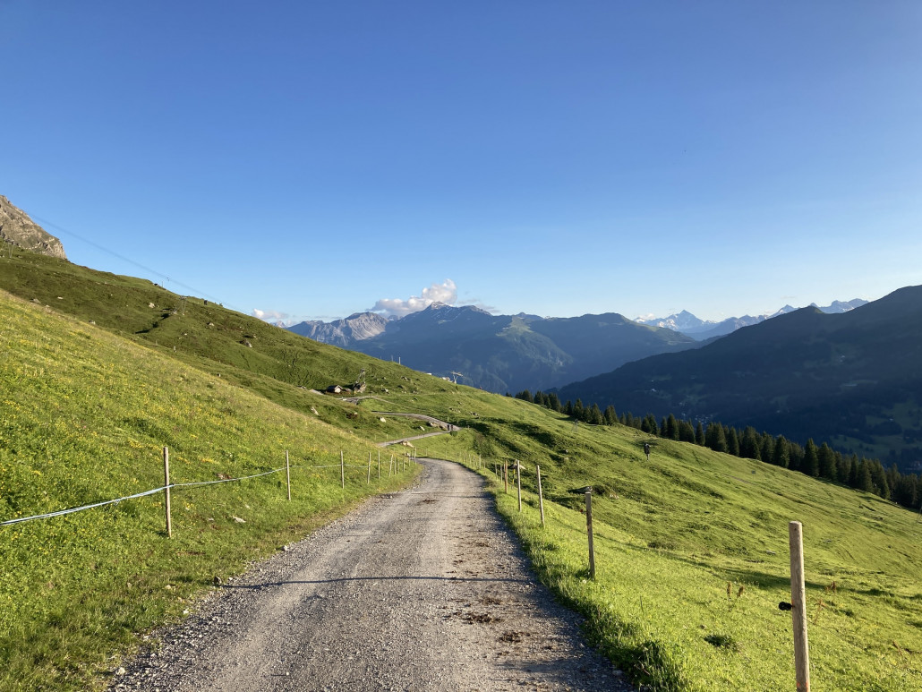 Fahrweg oberhalb der Alp Scharmoin, im Hintergrund die letzte Stütze der Gondelbahn Scharmoin.