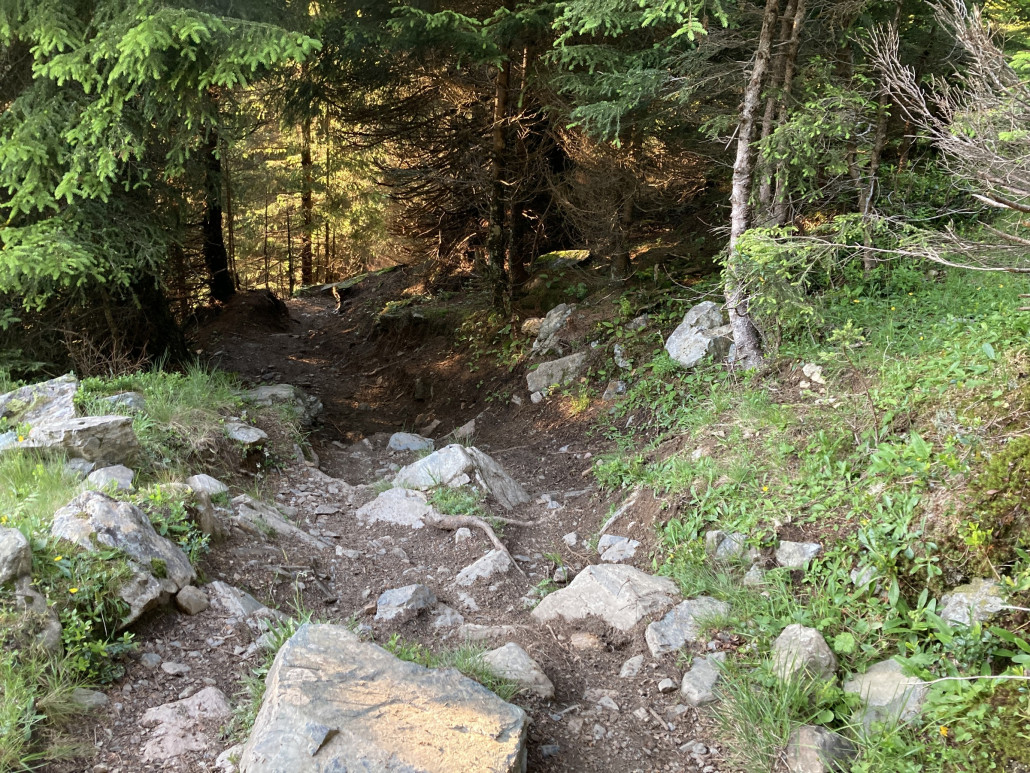 Parpan One Way. Stellenweise durchaus technisch und oft steil