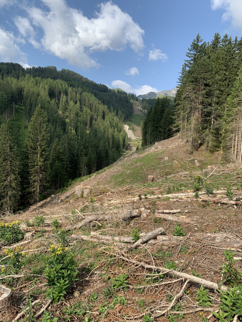 Trasse 2.Sektion Komperdellbahn