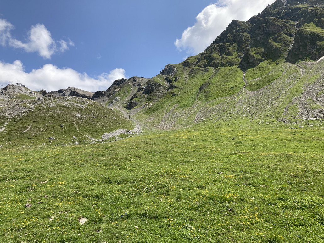 Blick zur Weisshornmulde. Im Winter verläuft die Piste in der Geländemulde oberhalb des sichtbaren Pfostens und ist deutlich breiter, als es hier scheint.