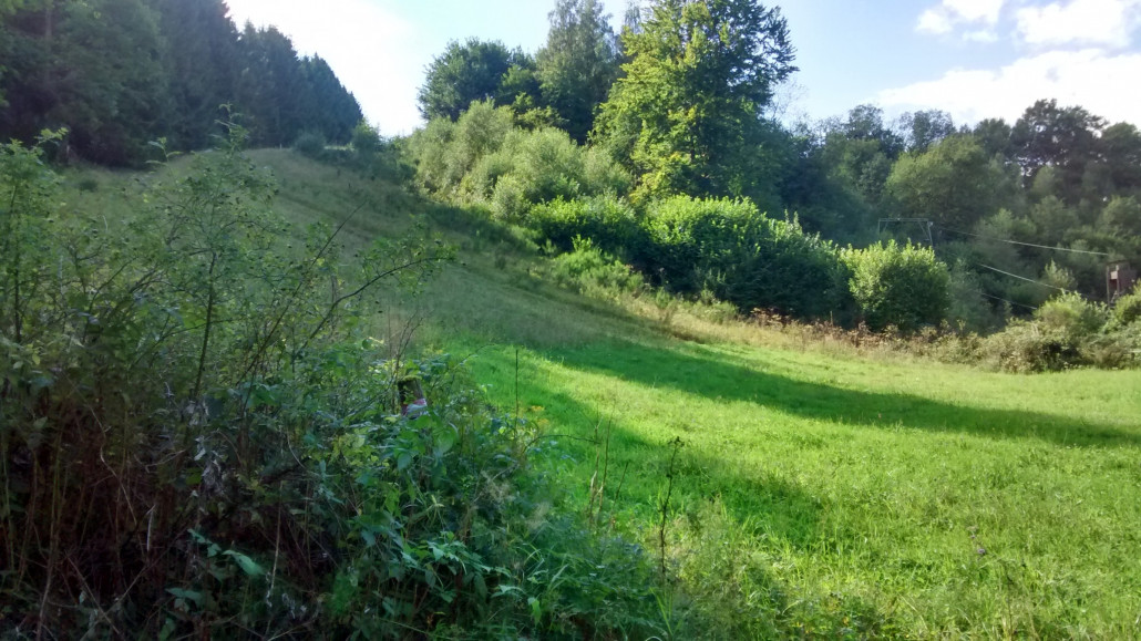 Aus Talsicht linke Piste