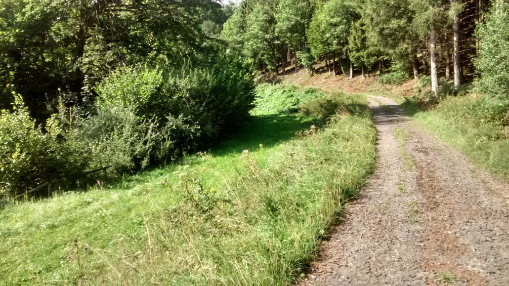 Rodelbahn (nicht Skipiste)