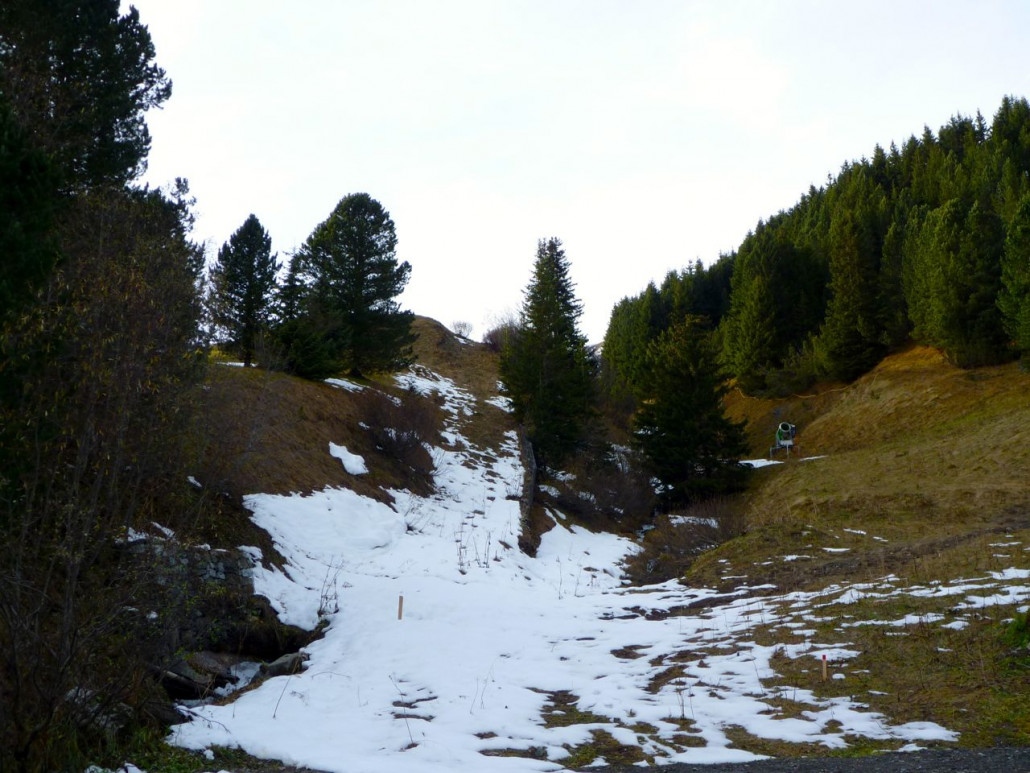 Das frühere Trassee des Carmenna-Schlepplifts im Täli oberhalb der Talstation SIT (Herbst 2010)