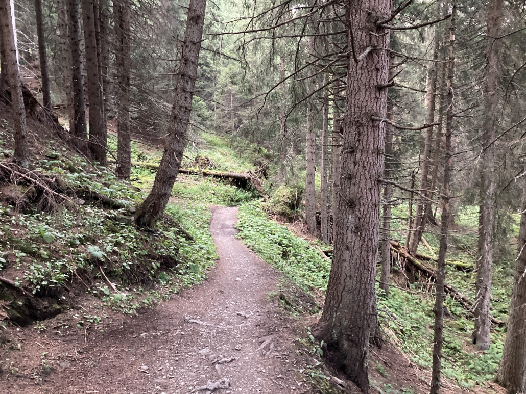 Zwischen Spoina und See