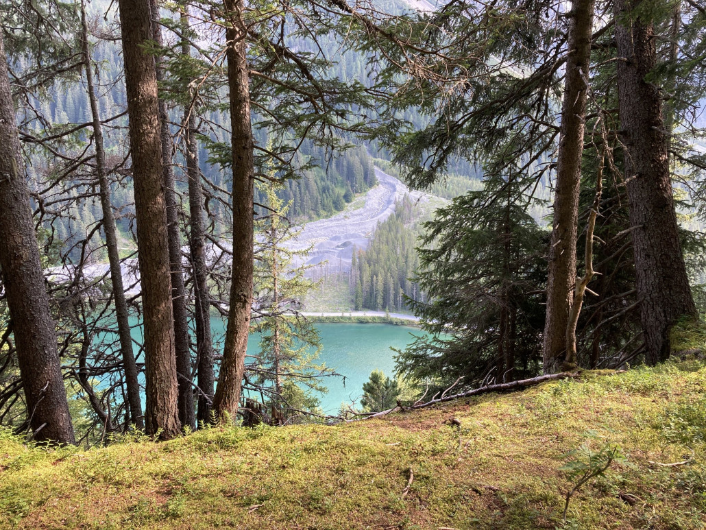 Blick auf den Stausee Isel