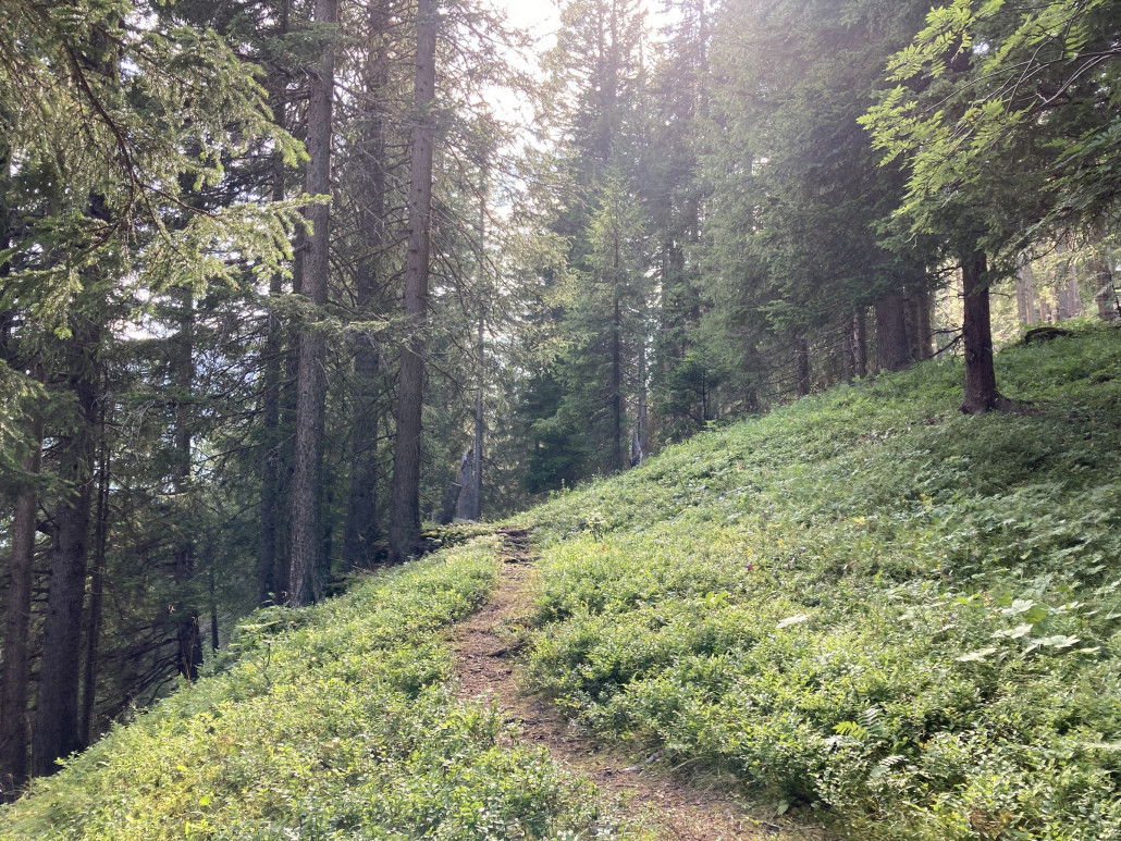 Das erste Mal fuhr ich einen kurzen aber  schönen Trail zwischen Arosa und Litzirüti. Der Weg führt durch einen dichten und steilen Wald oberhalb des Stausees Isel.