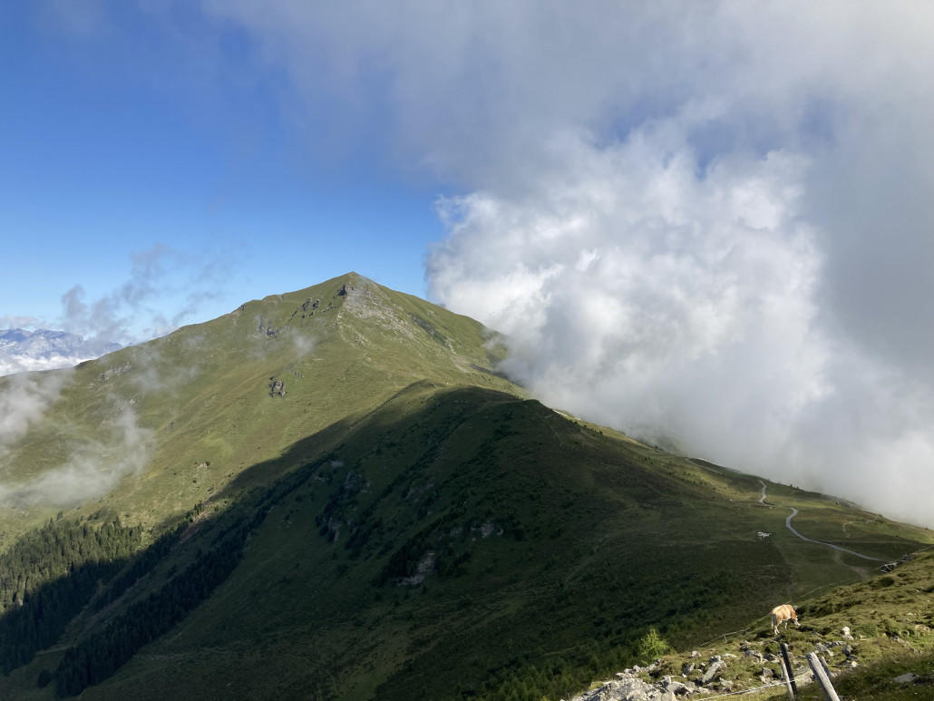 Ausblick vom Piz Scalottas Richtung Piz Danis (inklusive erleuchteter Kuh)