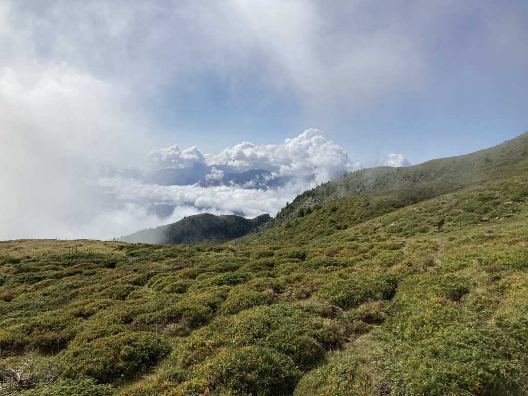 Blick gen Süden. Die Vegetation verfärbt sich bereits ins Gelbe.