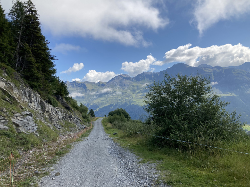 Zwischen Alp Nova und Lavoz