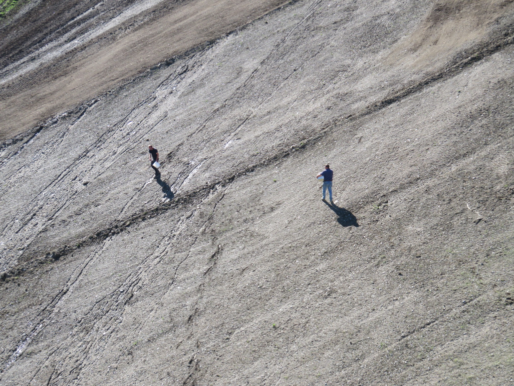 Also ob das Gras dieses Jahr auf der Talabfahrt wohl noch aufgeht?