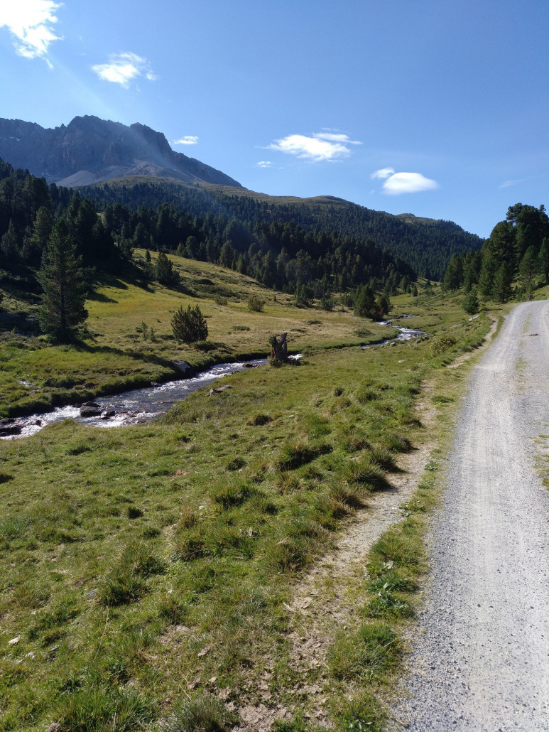 Entlang des Clemgia im Val S-charl