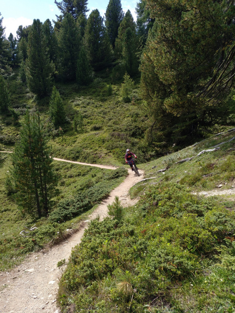 Weg zur Alp Champatsch