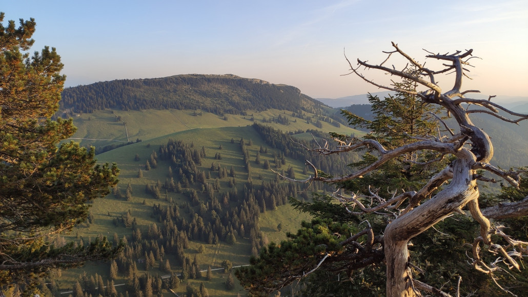 Blick auf den Suchet