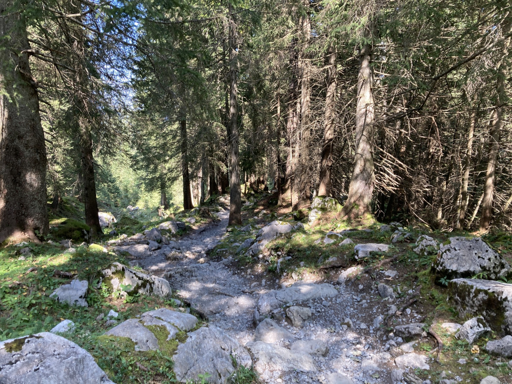 Cooler Trailabschnitt entlang (im?) des Kanonenrohrs.