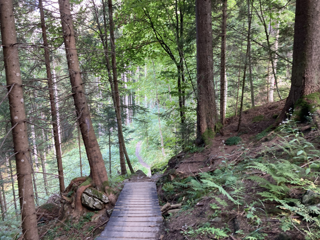 Gerschnialp - Trübsee. Der Trail verläuft steil und schattig durch den Wald. Der Einstieg ist nicht signalisiert und nicht einfach zu finden.  Vor allem, weil beim Gasthaus Gerschnialp der Bikewegweiser in Richtung der Mittelstation Gerschnialp zeigte. Hierbei handelt es sich sehr wahrscheinlich um irgendeine andere Route aber nicht um den Trail ins Dorf. Um auf diesen zu gelangen, muss man sich nämlich auf den Wanderweg zur Bänklialp begeben.