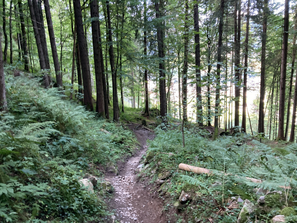 Gerschnialp - Trübsee.