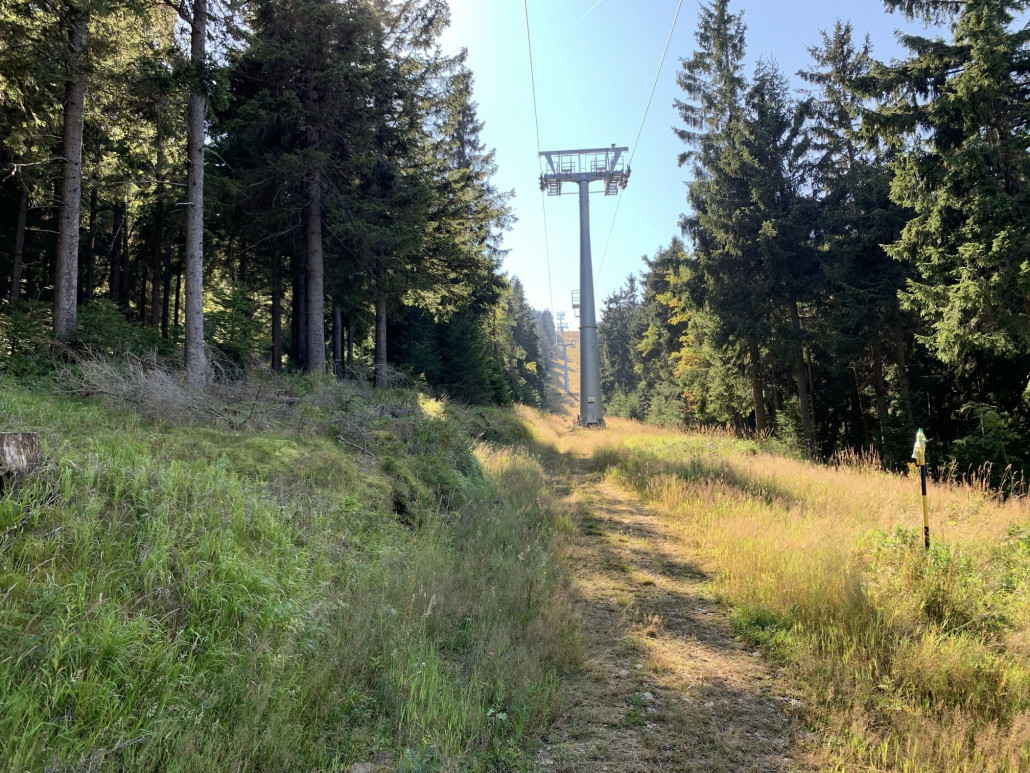 Damska 4KSB-B; Bj 2019